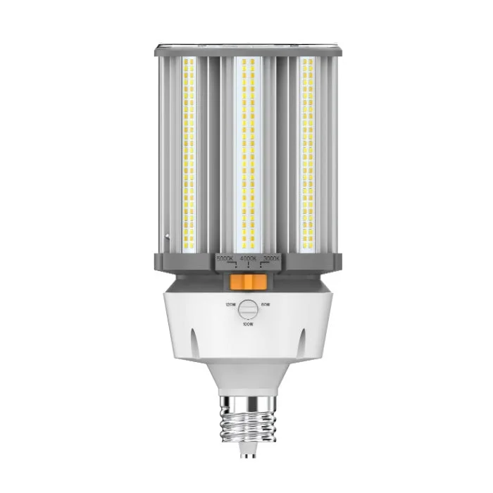 2026_06_25_117979